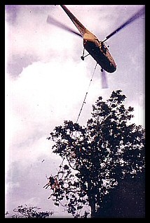 Rescue of Cow By RAF Helicopter