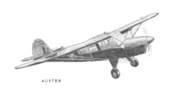 Auster