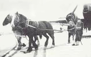Horse towing bomber through the snow